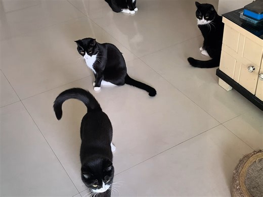 离过年越来越近啦，大家都准备好了吗