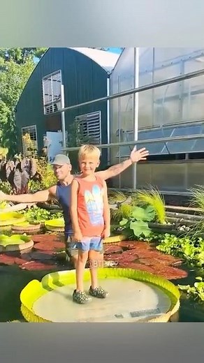 Victoria Amazonica: Giant Water Lily Secrets & Moonlit Legends