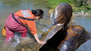 337K views · 7.6K reactions | Beauty captures mutated giant clams and unexpectedly discovers hundreds of rare and precious jewelry | Xiaohuiya | Facebook