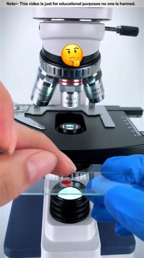 Inside a drop of blood 🩸✨