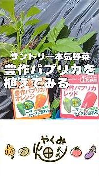 サントリー本気野菜豊作パプリカを植えてみる【やくみ畑】4.29