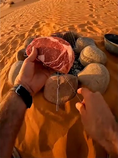 The Fox Stole His Food: A Heartwarming Encounter