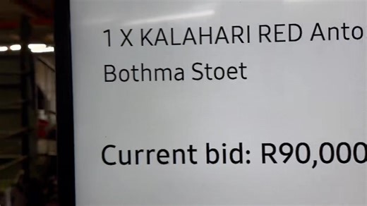 3.9K views · 49 reactions | Lot 6 sold for R 120 000.00.  Live -...
