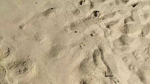 2.9K views · 76 reactions | Name this beach. Go ☺️ | St Maarten Island | Facebook