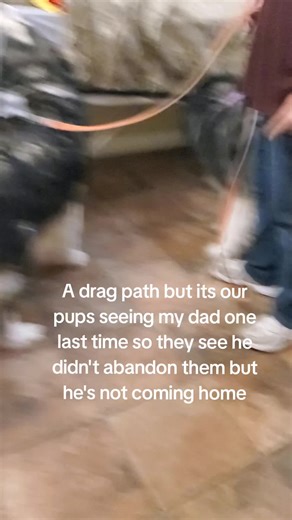 An Emotional Drag Path: Dogs Say Goodbye to Their Dad