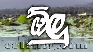 Olu Episode 62 | Col3neg Television