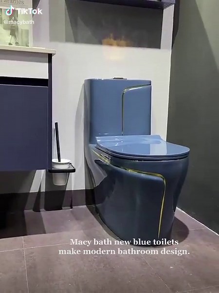 Macy bath new blue toilets make modern bathroom design.