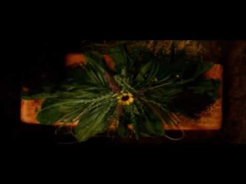 The Shack (2017) - Funeral scene