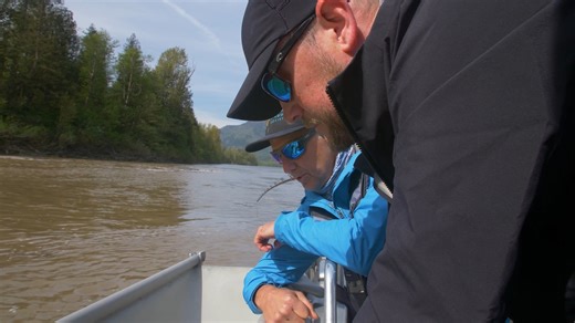 19 reactions | We were happy to help out SeaDoc Society with their white sturgeon episode of Salish Sea Wild! Check it out on Youtube to see how scientists and fishers catch, tag and release sturgeons to track the health of this long-lived species. https://youtu.be/GnLwtI5xP6E | Vancouver Aquarium | Facebook