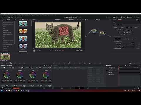 DaVinci Resolve 18 - How To Surface Track With Text
