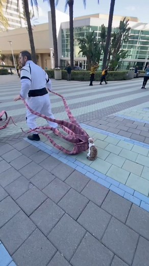 246K views · 1.8K reactions | Captain Marvel Flerkin Cosplay | Nerds And Company | Facebook