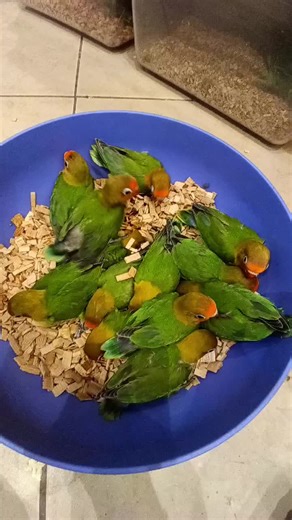 ‏#foryou #vairal #vairalvideo #bangladesh