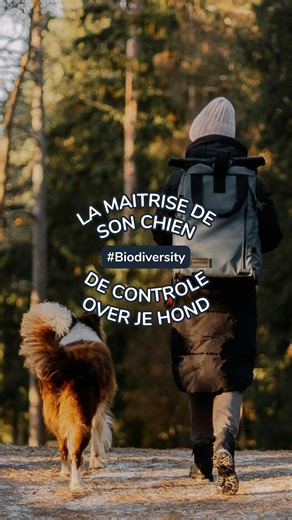Promener son chien sans laisse dans les zones autorisées de la forêt de Soignes : OUI ! 💚 Avoir la maitrise sur son chien (rappel, champ de vision, ...) : OUI ! 💚💚💚 En forêt, nous ne sommes jamais seuls : la nature nous entoure. Pour en prendre soin et la respecter, il est important que, comme vous, votre loulou reste sur les chemins. —NL— Je hond zonder leiband uitlaten in de toegestane zones van het Zoniënwoud: JA! 💚 Controle hebben over je hond (terugroepen, gezichtsveld, ...): JA ! 💚💚