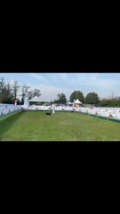 Alessandro Luca Pellegrini e Raiju vi aspettano alla CASTAGNATA 2024 al Rifugio di Piverone . Domenica 27 ottobre a partire dalle ore 14. Esibizioni gratuite di disc dog. La partecipazione offerta dal centro cinofilo Idefix con esibizioni di obedience e agility dog. La sfilata dei nostri amici del rifugio 🐶. Caldarroste 🌰, vin brulé 🍷, dolci 🍰 e tante sorprese per grandi e piccoli. Vi aspettiamo numerosi. Il ricavato servirà per il mantenimento del benessere dei nostri ospiti 🐾🐾 ( in caso 