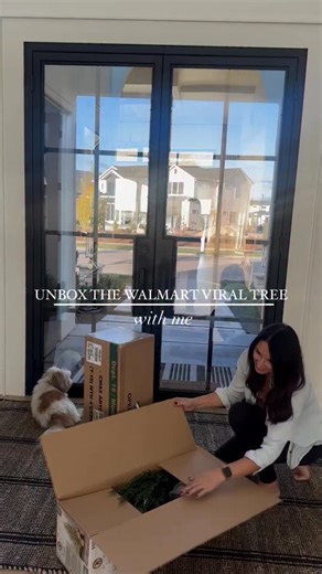 14 reactions · 24 comments | The Walmart 4 ft Viral Christmas tree...