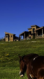 37K views · 2.2K reactions | Clydesdales and Cabins | Clydesdale Outpost | Facebook