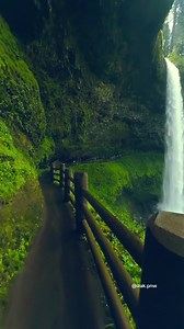 Silver Falls State Park waterfalls and forest escape