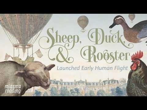 The First Hot Air Balloon Passengers: a Sheep, Duck, and Rooster