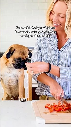 Learn How to Cook Homemade Dog Food - Get Our Course in Description!