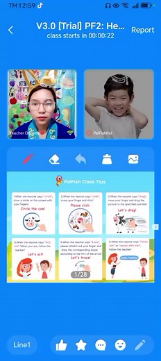 Mi entrevista exitosa en Palfish como maestra