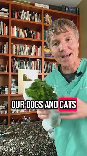 No Brush Dental Disease Recipe for Dogs and Cats!