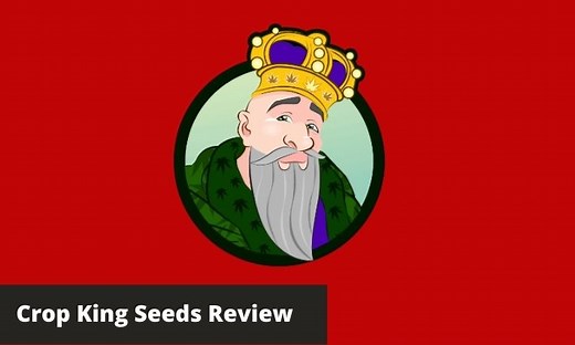 Crop King Seeds Review 2026 [My Experience] Good & Bad