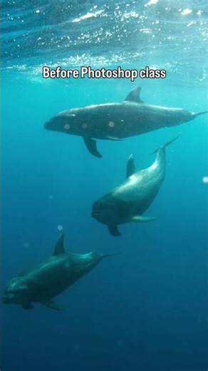 Photoshop Class at University of Advancing Technology