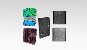 Nanoscale 3D X-ray Imaging for the Laboratory | ZEISS