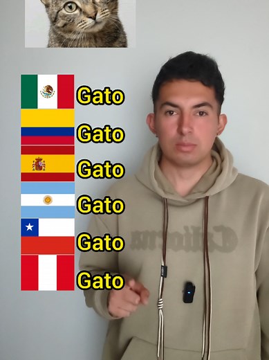 Learn 'Cat' in Spanish for Beginners