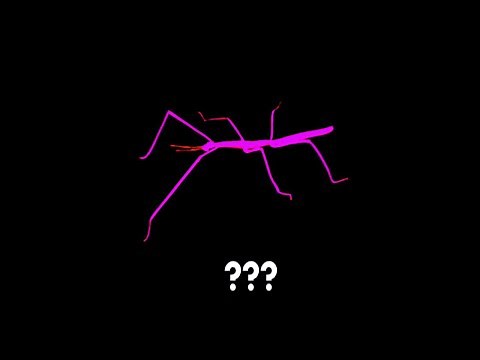 11 "Stick Bugged" sound Variations in 60 Seconds