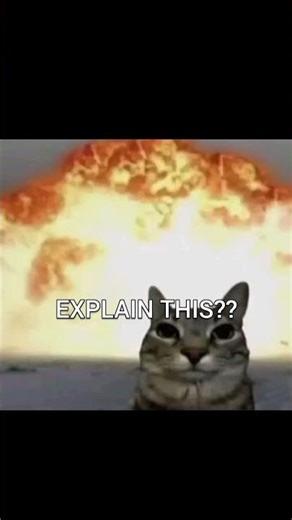 If Alien's are real #cat #catmemes