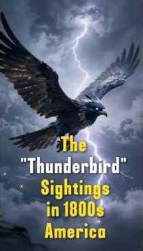 The “Thunderbird” sightings in 1800s America