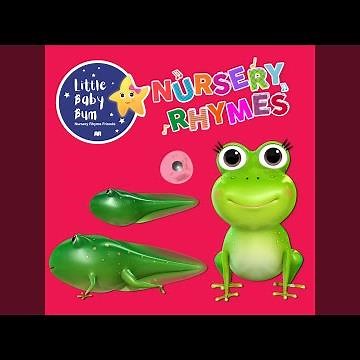 Frogs Life Cycle