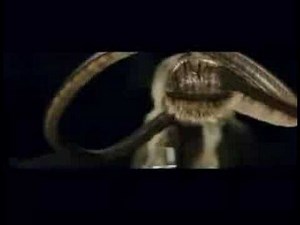 Ghost House Underground - TRAILER