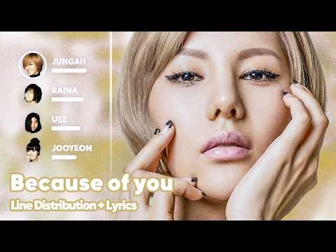 After School - Because of you (Line Distribution + Lyrics Karaoke) PATREON REQUESTED