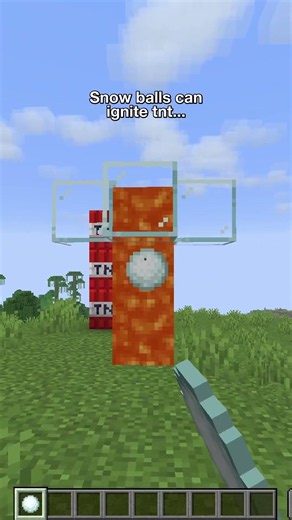 Minecraft MYTHS That Everyone Gets WRONG 🤔