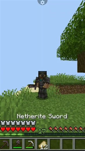 bro satu hari di minecraft Java netherite armor