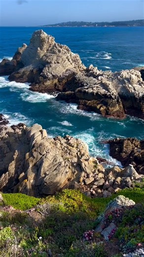 51K views · 2.1K reactions | Catch the Cypress Grove Trail early and let the views work their magic. Wildflowers, crashing waves, and fresh ocean air, this short hike at Point Lobos is pure coastal therapy.  @everymileusa  Cypress Grove Trail at Point Lobos, CA | See Monterey | Facebook