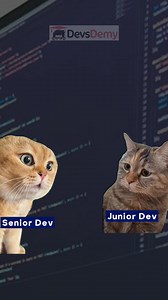 Senior Dev VS Junior Dev 😂 #meme #programmingmemes #shorts #viralreels | DevsDemy