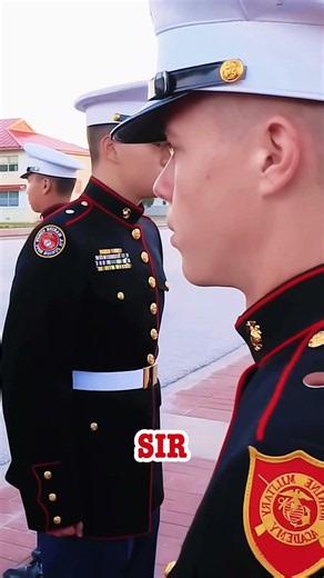 This Recruit is an absolute walking Military Encyclopedia! #marineservices #youtubeshorts #shorts