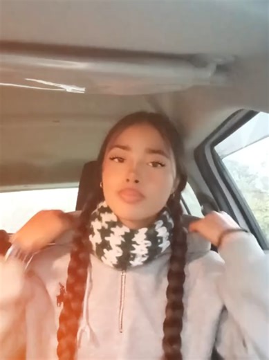 Aafno Car Vayesi Flex Garne Tarika