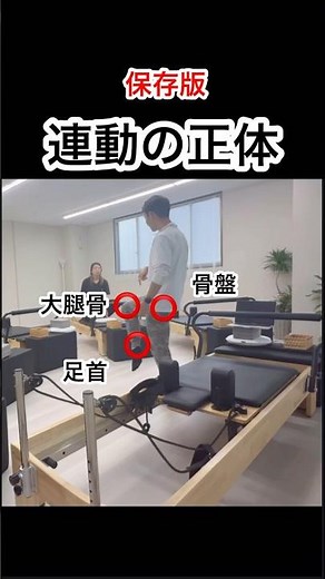 股関節の動きを劇的に変える「骨盤と大腿骨」の連動ルール【前編】 #姿勢改善 #マシンピラティス