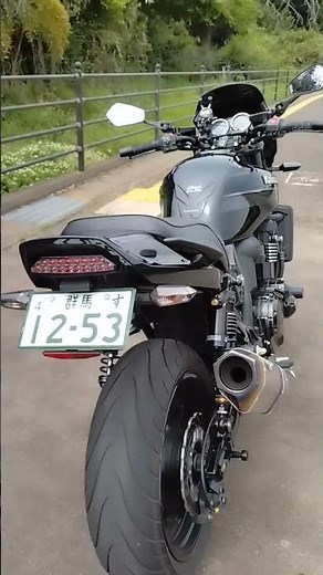 Kawasaki ZRX1200DAEG カスタム