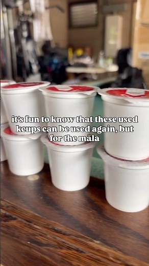 Recycling used Kcups #maui #garden #hawaii