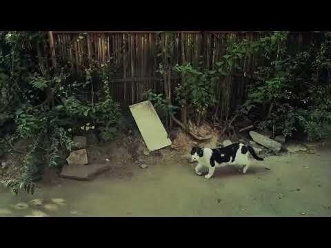 How This Location Looks From Inside | Exploring Delhi