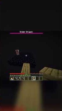 MINECRAFT PINK SHEEP IN THE END!!!
