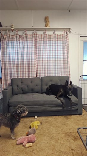 Woods Creek Rescue on Reels