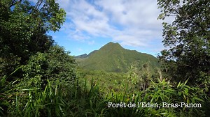 Lust auf eine Tour im Campervan? Auch so lässt sich La Réunion erkunden. 🚐 Erfahrt hier mehr dazu: http://bit.ly/campervan-la-reunion Video: Lapetitecréole.re #LaReunion #GotoReunion #DieintensiveInsel | Insel La Reunion