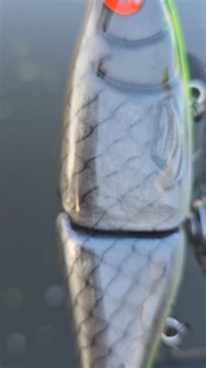 #fishing #lure #lurefishing #predatorfishing #perch #pike #perchfishing #pikefishing #custom #lures #riverfishing #fishinglure #handmade #paint #wood #water #river #alien_predator_lures #handcrafted #luremaking #lurebuilding #handmadelures | Alien_Predator_Lures | Facebook