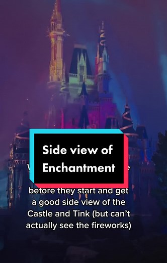 DisneyMagicMom on TikTok